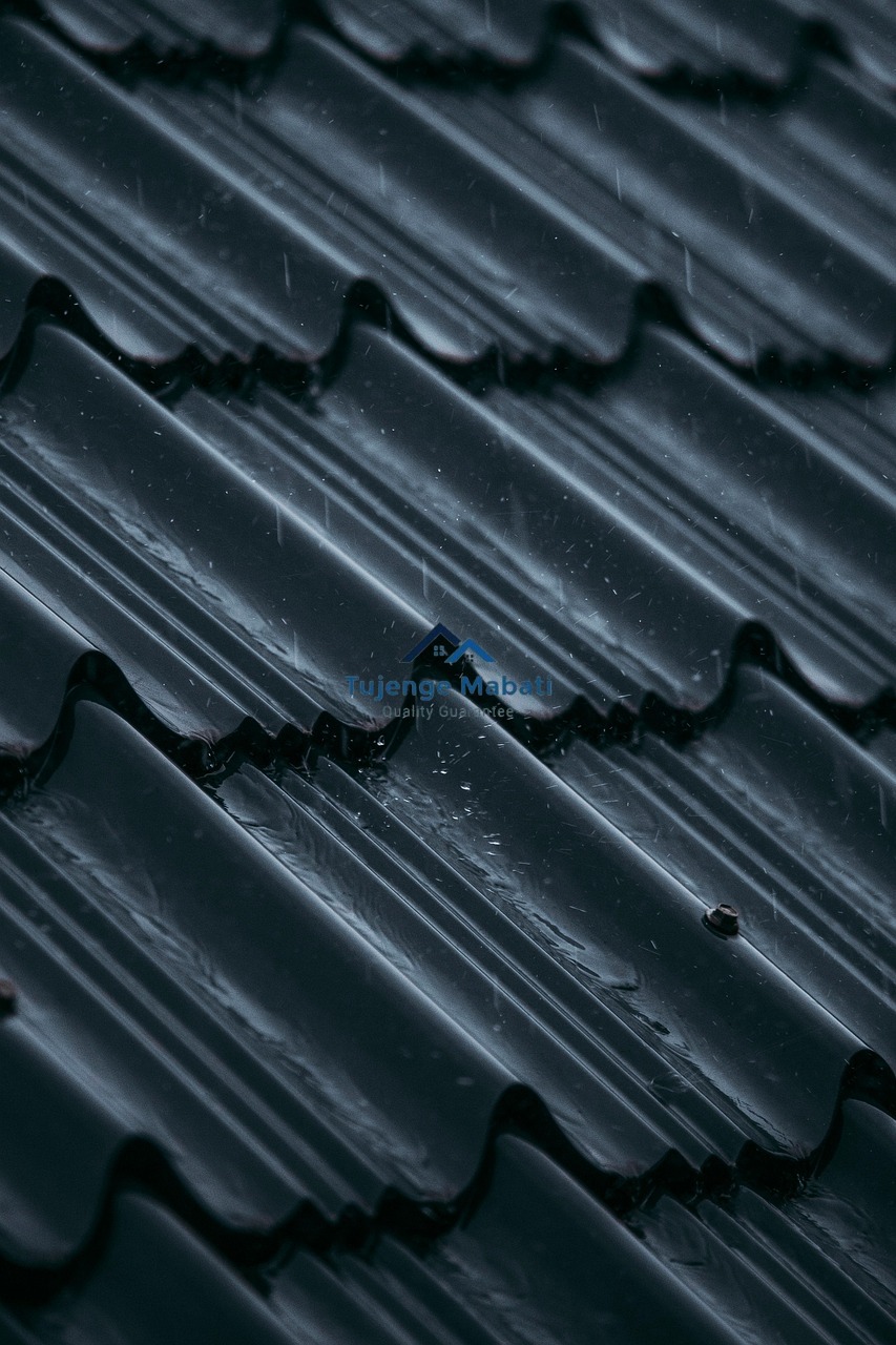 Tujenge mabati factory 